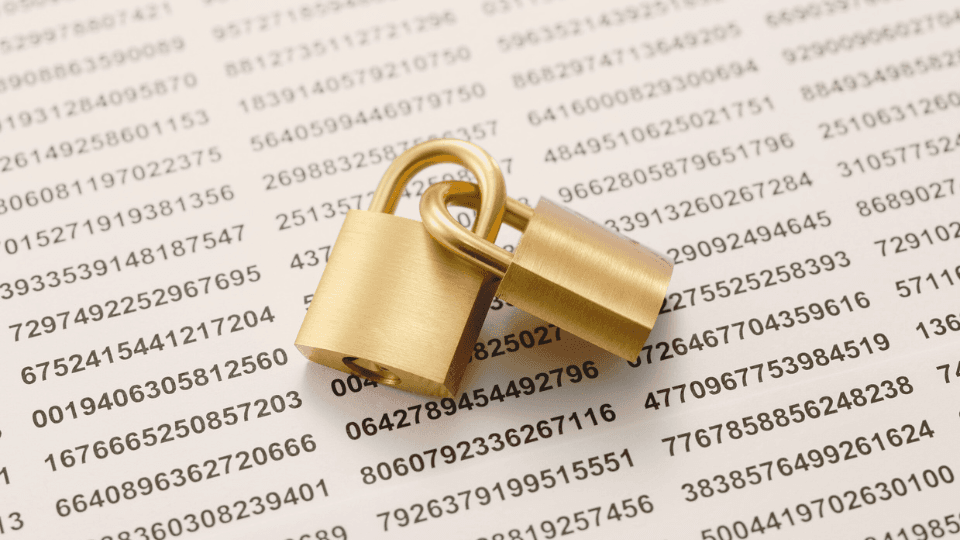 Top Applications That Use AES 256 Encryption in 2025