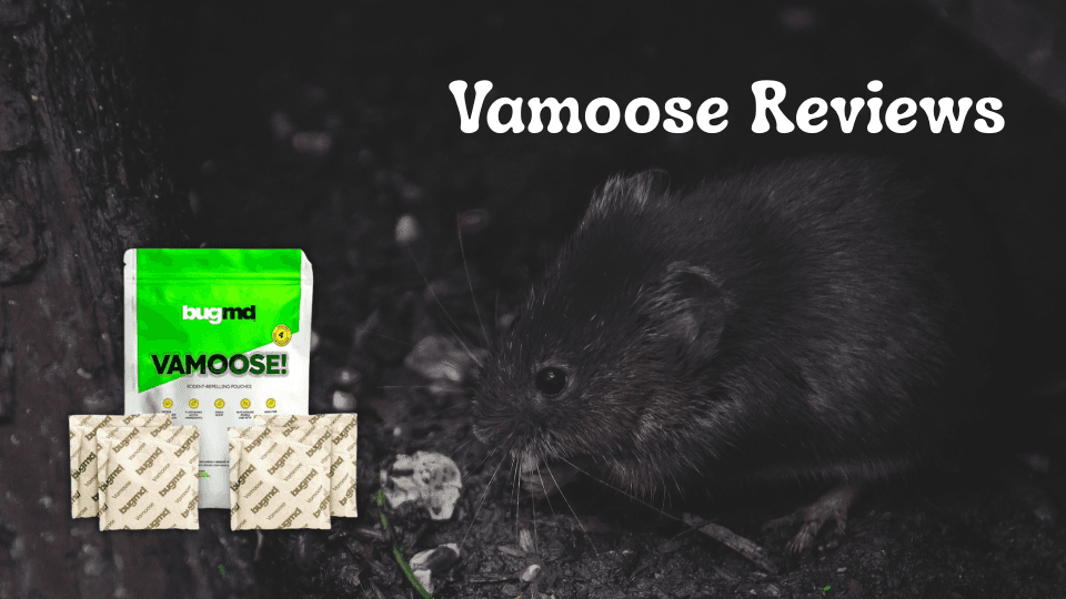 Vamoose Reviews: Does This Rodent Repellent Really Work