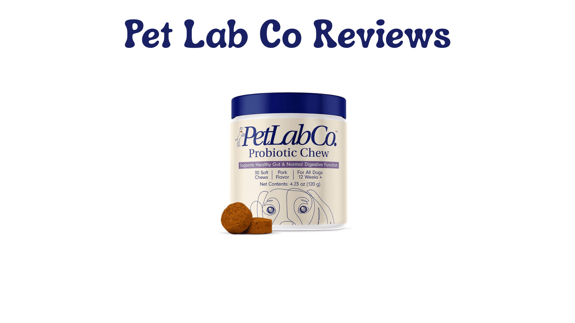 Pet Lab Co Reviews: Do Their Dog Supplements Really Work