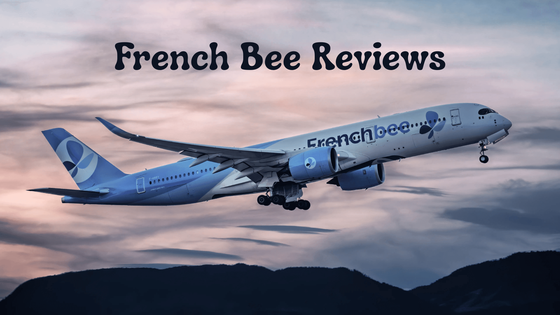 French Bee Reviews: What Travelers Are Saying in 2025