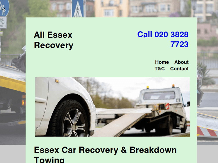 Allessexrecovery