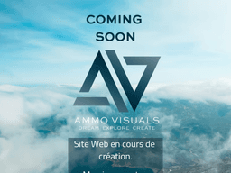 Ammovisuals