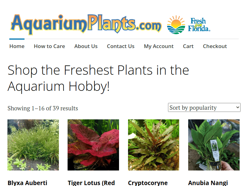 Aquariumplants