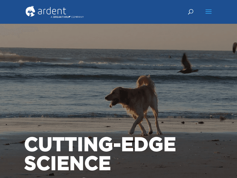 Ardentanimalhealth
