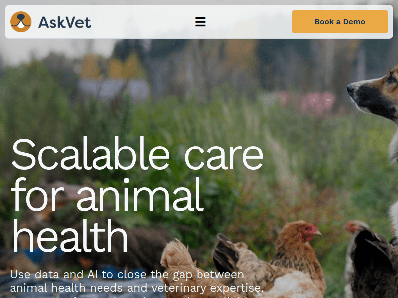 Askvet