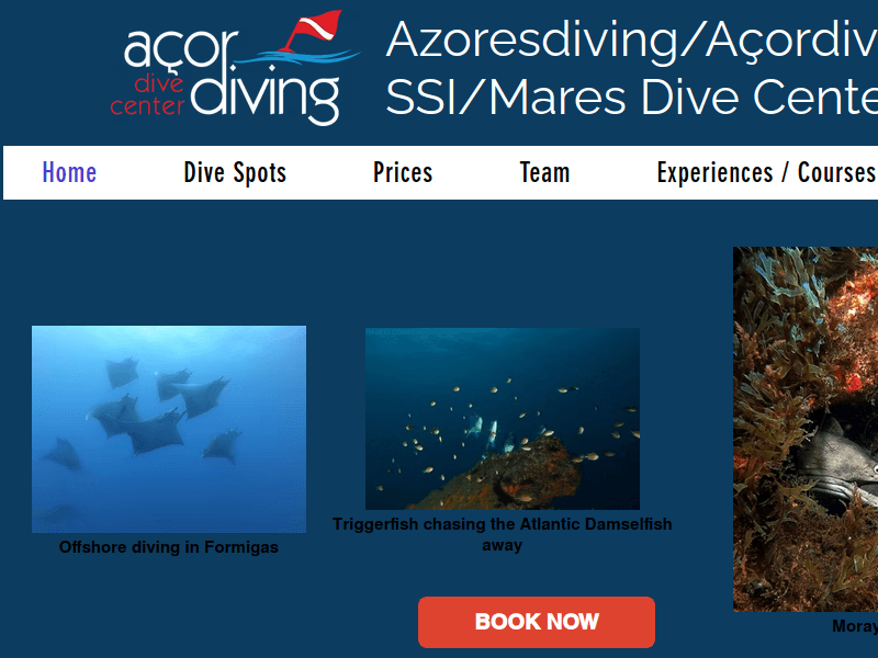 Azoresdiving
