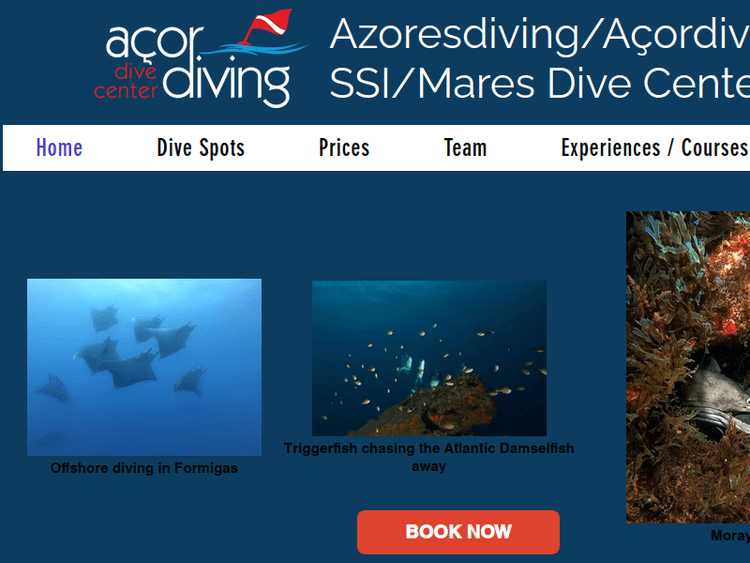 Azoresdiving