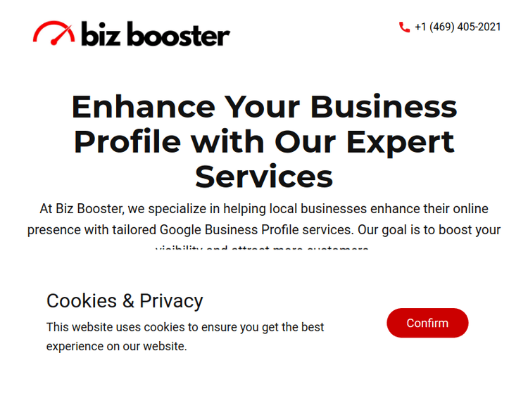 Bizboosterpro