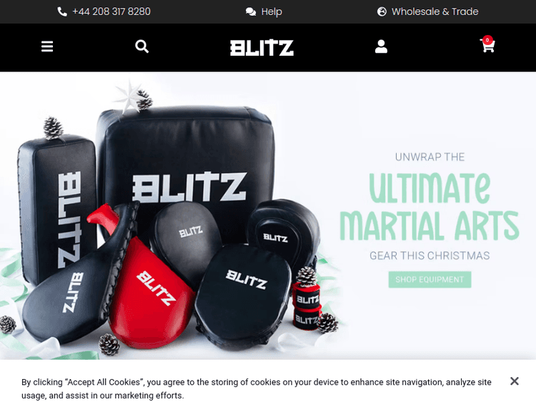 Blitzsport