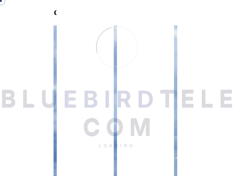 Bluebirdtelecom
