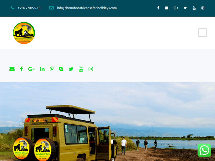 Bonobosafricansafariholidays