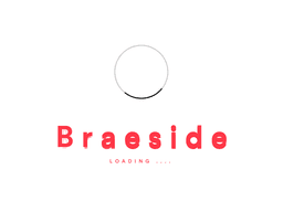 Braesidesurveyors