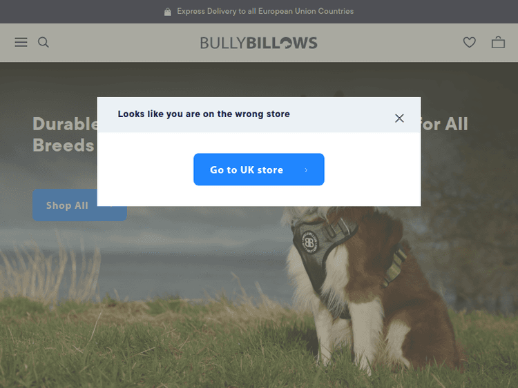 Bullybillows