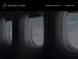 Business-skies