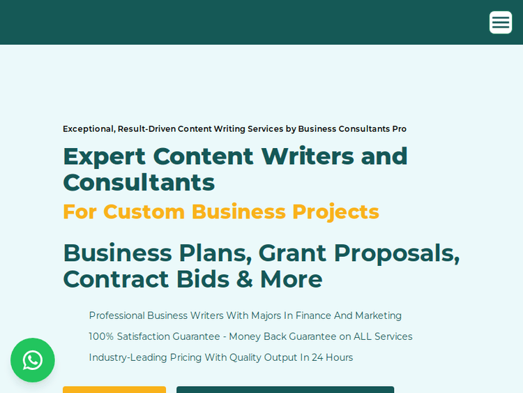 Businessconsultantspro