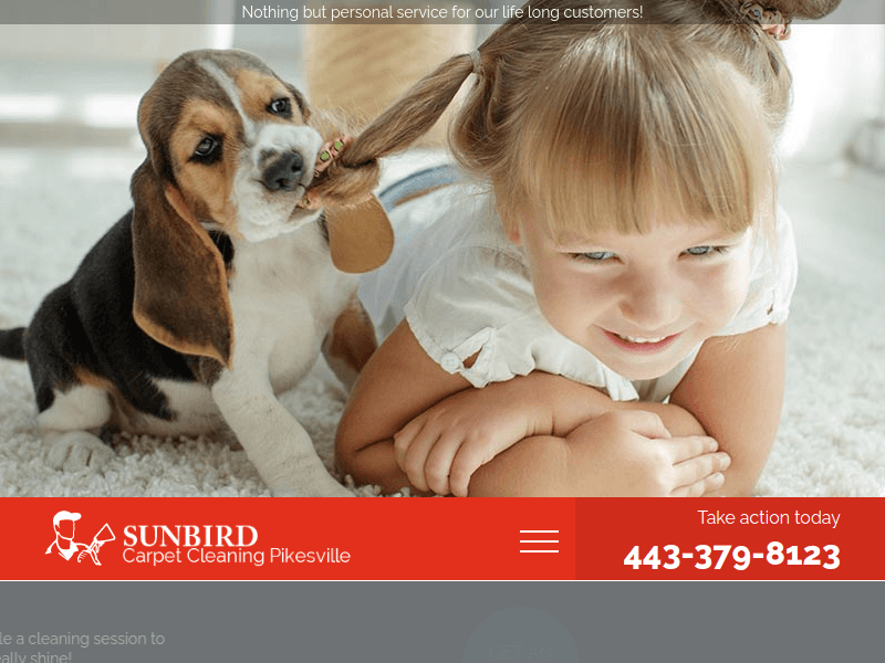 Carpetcleaningpikesvillemd