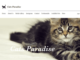 Catssparadise