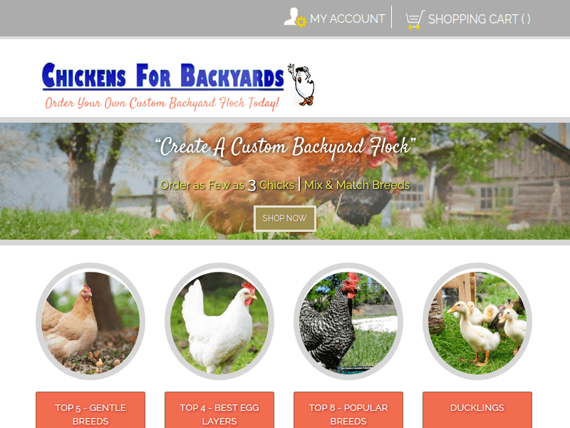 Chickensforbackyards