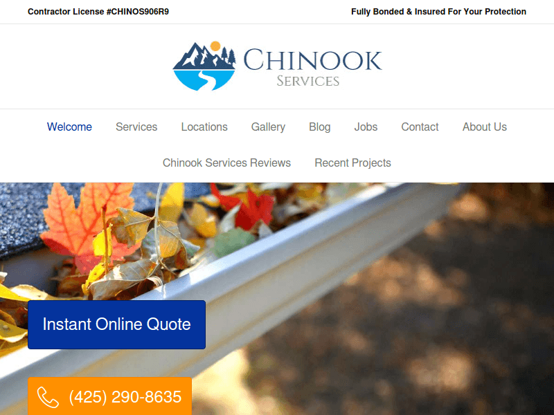 Chinookservices