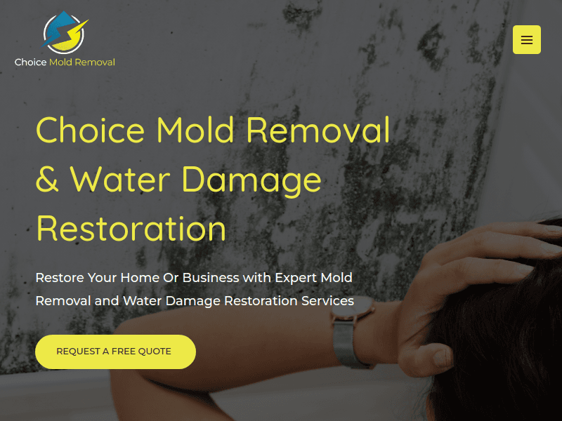 Choicemoldremovalnyc