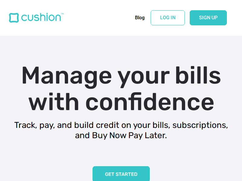 Cushion