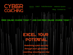 Cybercoaching