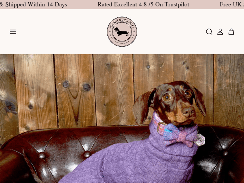 Dashofhounds