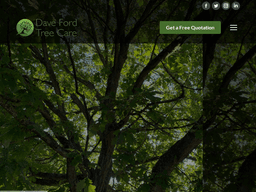 Davefordtreecare