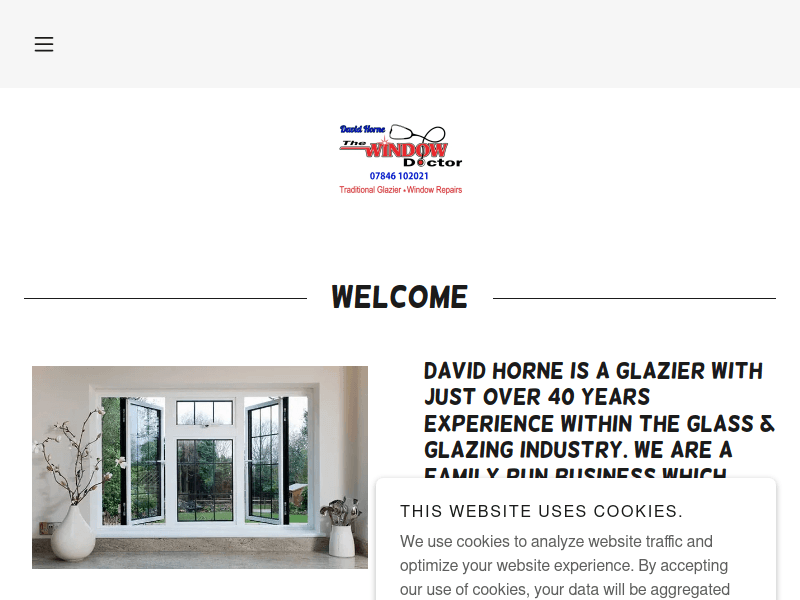 Davidhornethewindowdoctor
