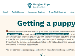 Designerpupsbyannabel