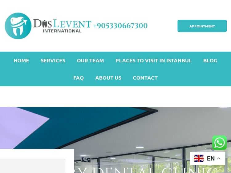 Disleventinternational