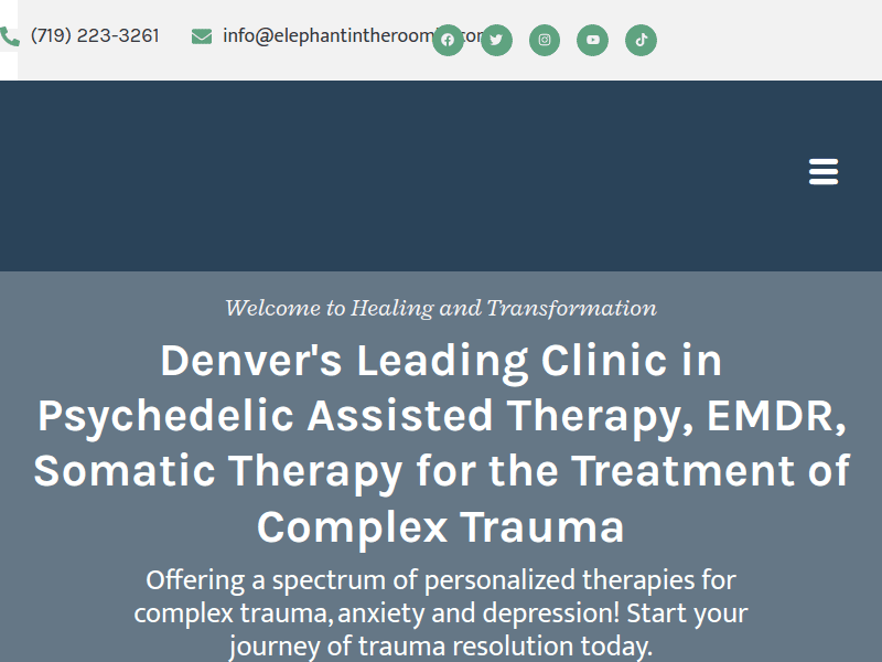 Elephantintheroomllc