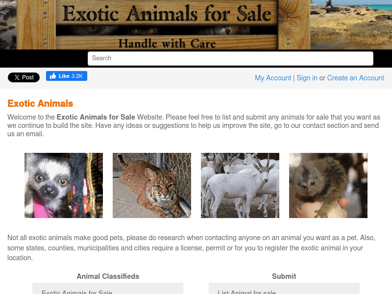 Exoticanimalsforsale