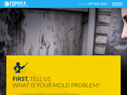 Fdpmoldremediation
