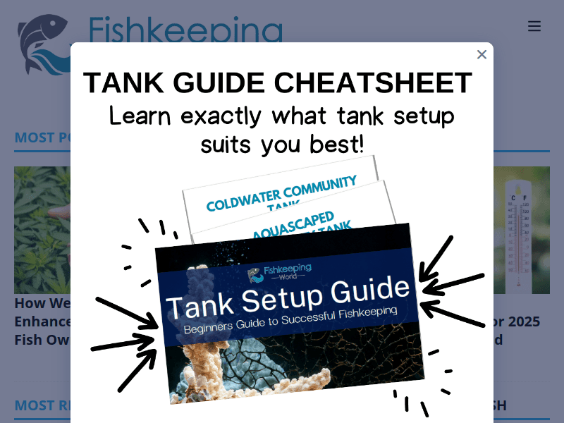 Fishkeepingworld
