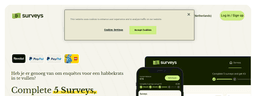 Fivesurveys