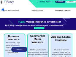 Fuzzyinsurance