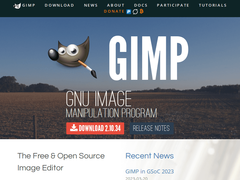 Gimp