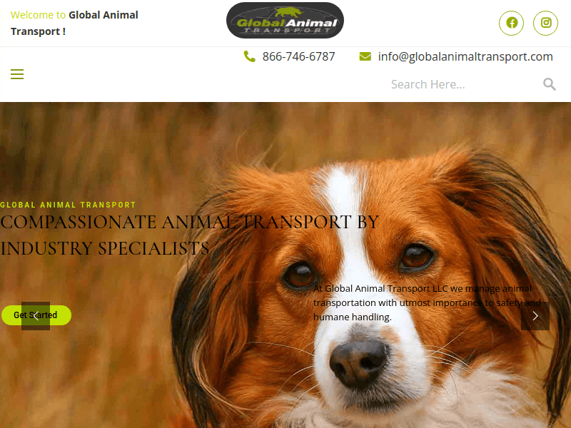 Globalanimaltransport