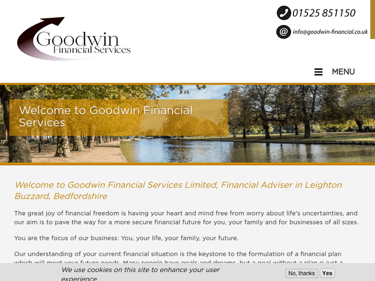 Goodwin-financial