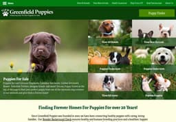Greenfieldpuppies