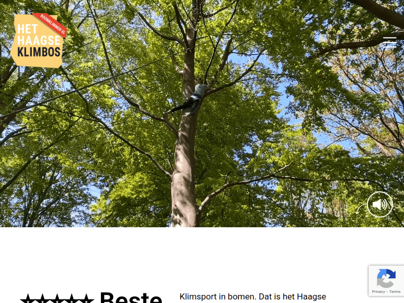 Haagseklimbos