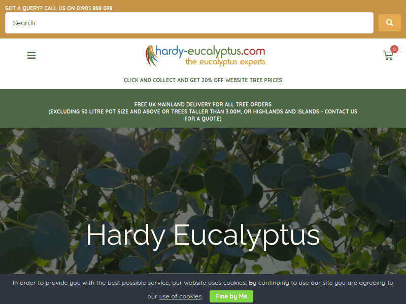 Hardy-eucalyptus