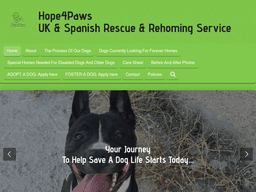 Hope4pawsukspainrescuerehomingservice