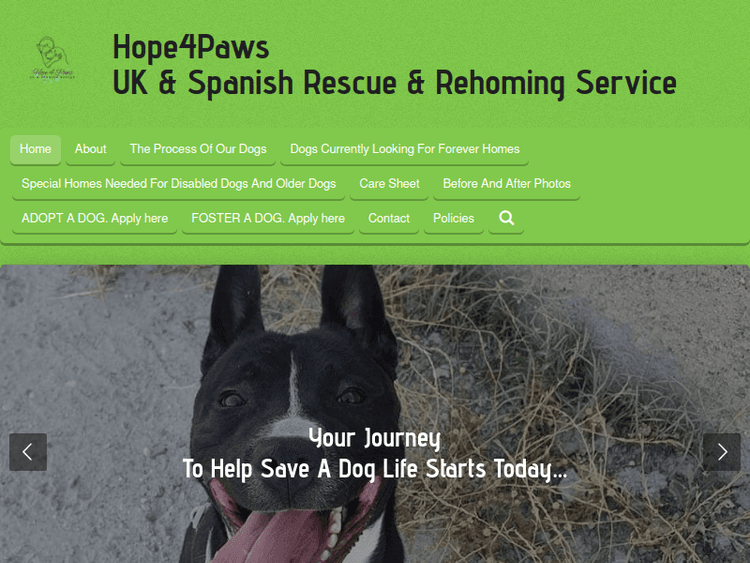 Hope4pawsukspainrescuerehomingservice