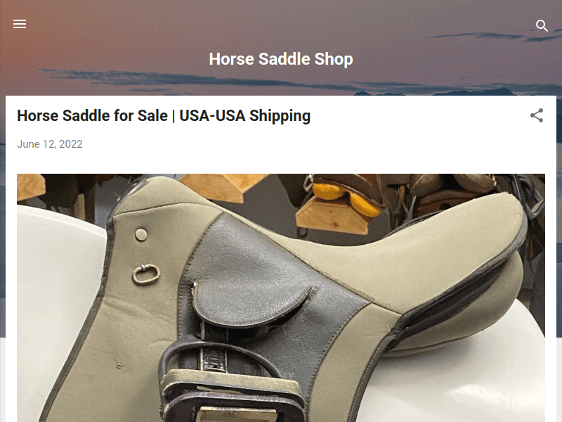 Horse-saddle-shop