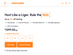 Hostliger