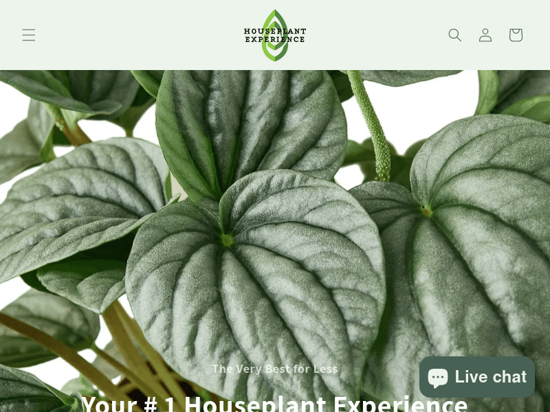 Houseplantexperience