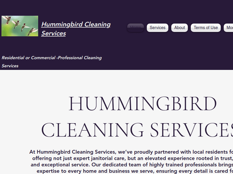 Hummingbirdcleaningservices
