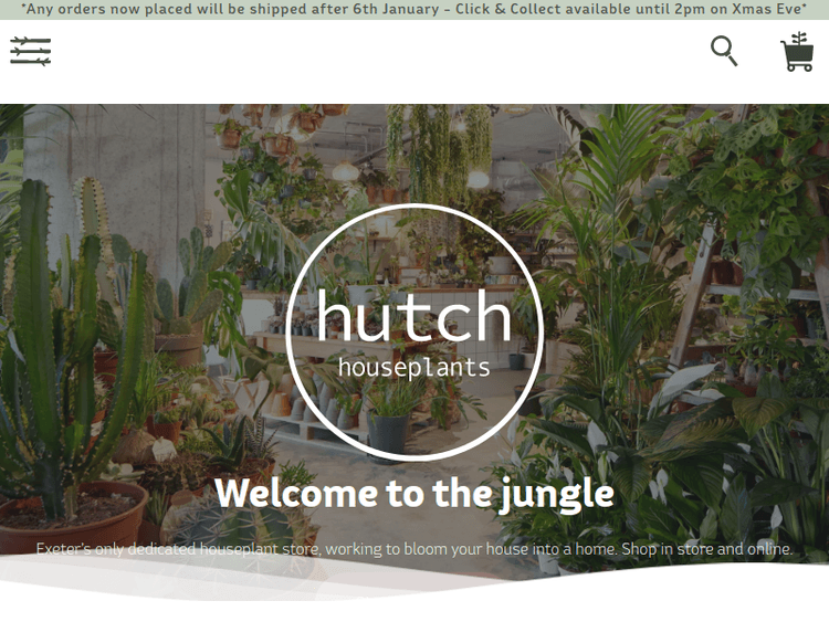 Hutchhouseplants